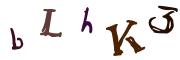 Obrázkové CAPTCHA