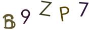 Obrázkové CAPTCHA