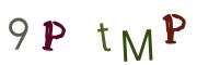 Obrázkové CAPTCHA