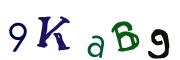 Obrázkové CAPTCHA