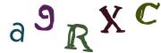 Obrázkové CAPTCHA