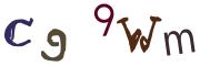 Obrázkové CAPTCHA