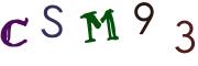 Obrázkové CAPTCHA