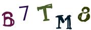 Obrázkové CAPTCHA