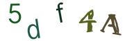 Obrázkové CAPTCHA