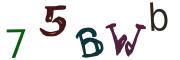 Obrázkové CAPTCHA