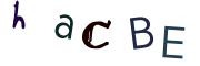 Obrázkové CAPTCHA