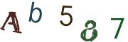 Obrázkové CAPTCHA