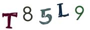 Vaizdinė CAPTCHA užduotis