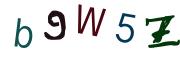 Vaizdinė CAPTCHA užduotis
