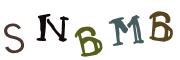 Vaizdinė CAPTCHA užduotis