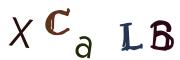 Vaizdinė CAPTCHA užduotis