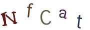 Vaizdinė CAPTCHA užduotis
