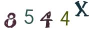 Vaizdinė CAPTCHA užduotis