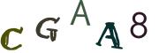 Vaizdinė CAPTCHA užduotis