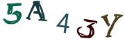 Vaizdinė CAPTCHA užduotis
