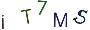 Vaizdinė CAPTCHA užduotis