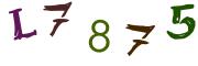 Vaizdinė CAPTCHA užduotis