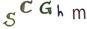 Vaizdinė CAPTCHA užduotis