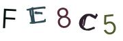 Imagine CAPTCHA