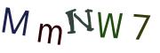 Obrázková CAPTCHA