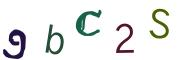 Obrázková CAPTCHA