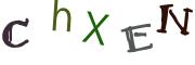 Obrázková CAPTCHA