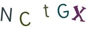 Obrázková CAPTCHA