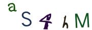 Obrázková CAPTCHA