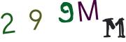 Obrázková CAPTCHA