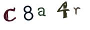 Obrázková CAPTCHA