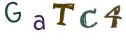 Obrázková CAPTCHA
