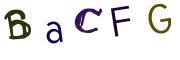Obrázková CAPTCHA