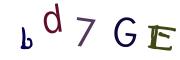 Obrázková CAPTCHA
