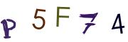 Obrázková CAPTCHA