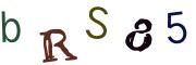Obrázková CAPTCHA