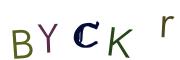 Obrázková CAPTCHA