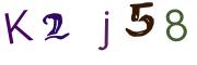 Obrázková CAPTCHA