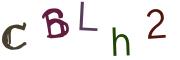 Obrázková CAPTCHA