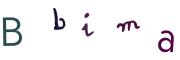 Obrázková CAPTCHA