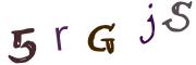 Obrázková CAPTCHA