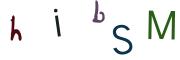Obrázková CAPTCHA
