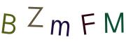 Obrázková CAPTCHA