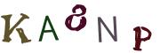 Obrázková CAPTCHA