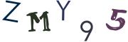 Obrázková CAPTCHA