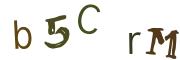 Obrázková CAPTCHA