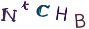 Obrázková CAPTCHA