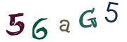 Obrázková CAPTCHA