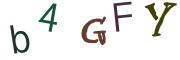 Obrázková CAPTCHA