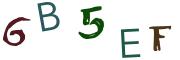 Obrázková CAPTCHA
